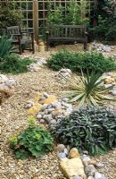 Gravel garden with drought tolerant plants 