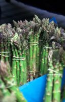 Bunches of Asparagus for sale at at Farmer's Market