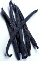 Vanilla pods - Vanilla planifolia