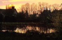 Reflections on the horsepond at Great Dixter at sunset