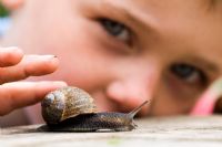 Young Boy stroking a snail