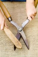 Cleaning and sharpening shears
