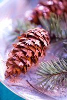 Pinecone with glitter on Christmas plate