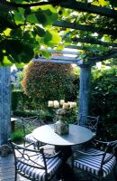 Vitis vinifera climbing over pergola supported by columns above dining table and chairs - Seattle USA