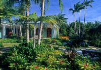 Tropical garden with palm trees - The Bergeron Garden