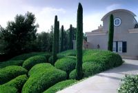 Spanish villa with cloud shaped topiary       