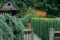 Garden gate leading down path to shed -  Seattle, USA