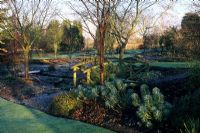 Winter border in January with frost covered border of Euphorbia characias - Glen Chantry, Essex