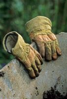 Gloves on wheelbarrow