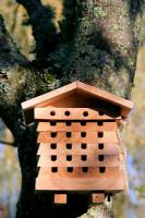 Nest Box for solitary bees