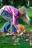 Girl (7 year old child) playing with autumn leaves from a cherry (Prunus) trees in early November