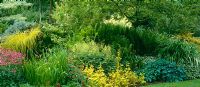 Summer border at Glen Chantry. Carex elata 'Aurea', Matteuccia struthiopteris, Hostas, Astilbes and Astrantia 'Roma'