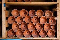 Flowerpots cleaned ready for use and stored according to size