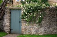 Blue back door in stone wall with old knarled tree and Clematis x fargesoides 'Paul Farges'