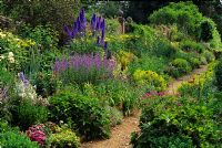 Colourful summer borders of Delphinium, Alchemilla mollis, Geranium, Salvia, Dianthus barbatus and Knautia lining path - Benington Lordship