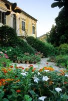 Mediterranean garden - Zinnias and Datura in border with house beyond - Cali Doxiadis, Corfu