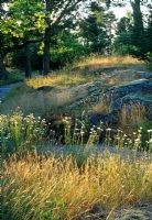 Path running through woodland style garden - Villa Eketop, Sweden