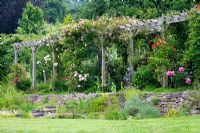 Long pergola covered with roses - Hill Lodge Garden, Batheaston, Somerset 