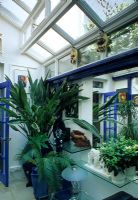 Conservatory Interior with houseplants - Gardenia, Strelitzia nicolai and Cycas revoluta - Roja Dove, Brighton 