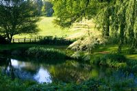 The Lake with Cornus controversa 'Variegata' - Sezincote, Moreton-in-Marsh, Gloucestershire