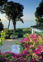 Views of patio and sea - Santa Margarita, Marbella  

    