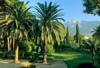 Views across garden to mountains - Santa Margarita, Marbella  