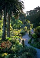 Overview of path through famous sub tropical garden open to the public - Abbey Gardens, Tresco, Scilly Isles 