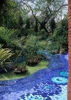 Mosaic lined stream with Cyperus papyrus - 
The Aurangzeb Garden, Delhi 