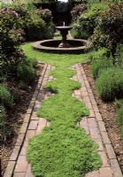 Chamomile path in herb garden