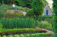 Vegetable garden enclosed by living willow woven fence - France