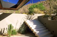 Steps in modern garden - Tucson, Arizona 