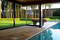 Pool house with Populus - Poplar plantation beyond