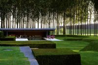 Modern garden with grass covered land forms and Populus - Poplars. Pool house beyond