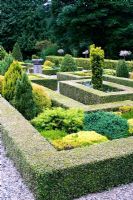 Parterre of Buxus sempervirens - Within the parterre are a collection of dwarf conifers