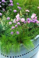 Meadow flowers and dwarf grasses in a tin bath decorated with glass beads. Jasione laevis, Scabiosa 'Pink Mist', Deschampsia 'Tatra Gold' and Festuca 'Blue Fox'.