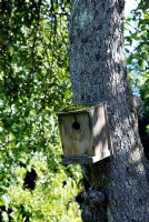A bird box attached to a Malus tree in a wildlife garden