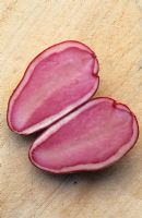 Solanum tuberosum 'Highland Burgundy Red' - Potato  