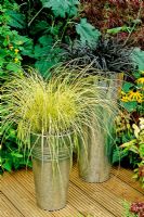 Tall galvanised florists' buckets used to display variegated Carex brunnea 'Jenneke' and black leaved Ophiopogon 'Nigrescens' in a modern setting on a timber deck