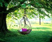 Hanging basket seat on tree