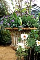 Container with Lavandula and Paeonia