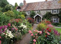 Autumn planting in cottage garden - Chiffchaffs Dorset