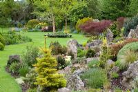 Looking over rock garden towards three birch trees - Betula nigra 'Heritage'. Abies concolor 'Wintergold' in the foreground