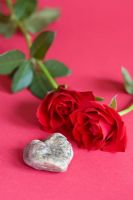 Two red roses stone heart