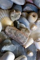 Hearts-stones and shells