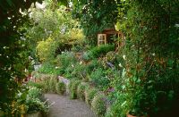Path through borders of cottage garden plants including Lobelia Cardinalis, Erigeron 'Profusion', Delphinium, Geranium  and Ferula communis