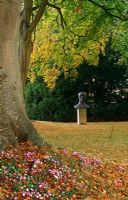Cyclamen at base of beech tree with Dame Elizabeth Frink's 'In Memoriam III', 1983, bronze, beyond, Cranborne Manor Garden, Cranborne, Dorset