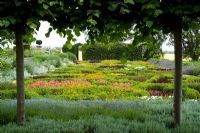 Knot garden of annuals at Broughton Grange