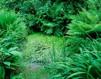 The upper pond in the woodland with Aponogeton distachyos and ferns - Mille Fleurs, Guernsey 