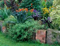 Raised bed by lawn with Crocosmia 'Severn Sunrise', Cavalo de Nero, Atriplex hortensis rubra - Parsonage, Ombersley, Worcestershire 