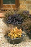 Copper containers with Heuchera x brizoides 'Can Can', Carex dipsacea, Chionochloa rubra (large)  Heuchera 'Amber waves' , Carex bronze form (small). Design Clive Nichols 